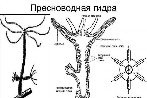 Кракен макет плейс